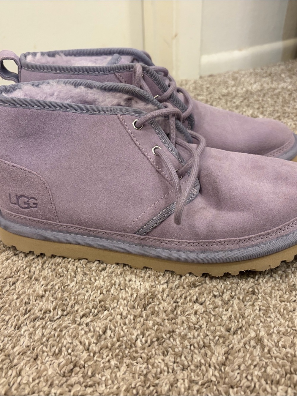 UGG Lavender Suede Lace-Up Ankle Boots